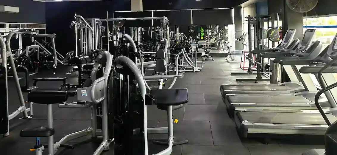 Rows of pin-loaded strength machines beside a line of treadmills on the gym floor